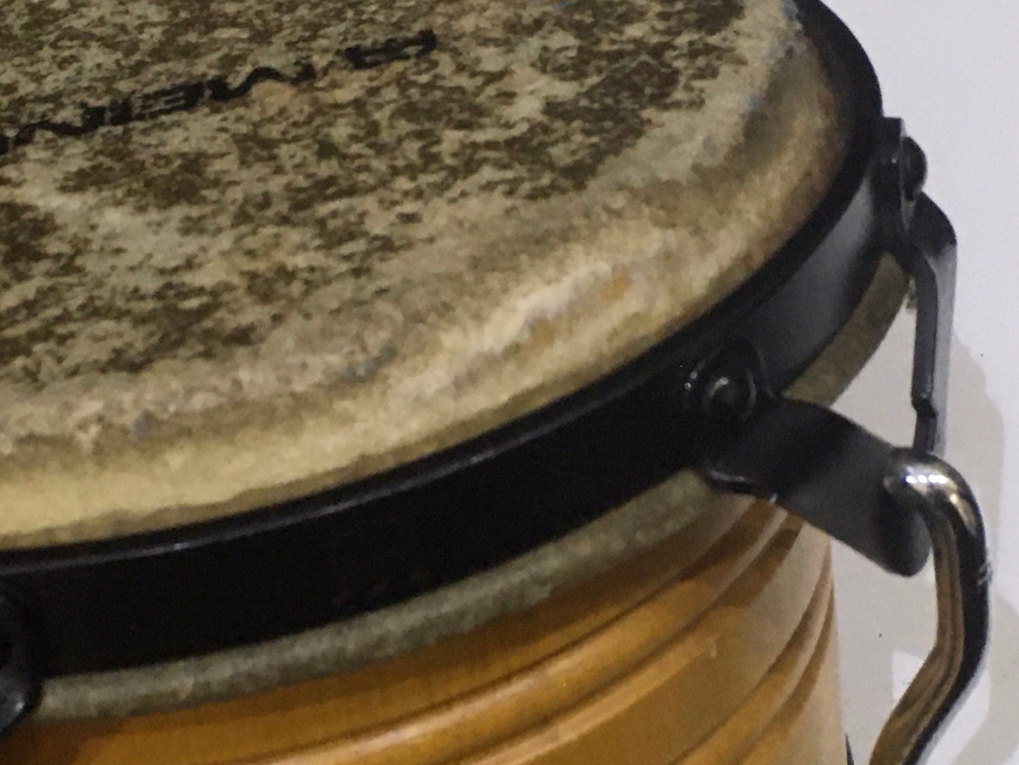 Meinl Bongo Marathon Series